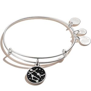 Alex and Ani Color Infusion, Gemini EWB, Stainless Steel NWT